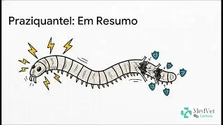 Tratamento e Controle de Cest&oacute;dios e Tremat&oacute;deos em Animais
