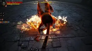 C8 Sangoon Awakening Musa