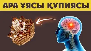 Дәрігерлер жасырады АРАНЫҢ Ұясы 100 Ауруға  ҚҰПИЯ ЕМ БОЛАДЫ, Ара ұясы