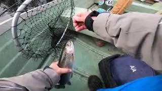 Open Water is Back! Rainbow Time on Glen Lake!! 4/3/22