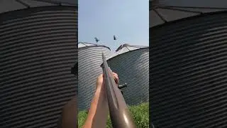 🦆 Thrilling Bird Hunting Moments &ndash; Precision & Outdoor Action