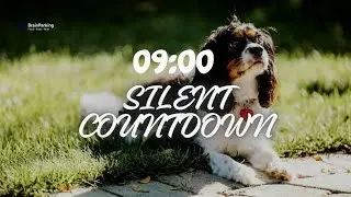 9 Minute Silent Timer | No Sound • Clean Countdown for Focus & Meditation