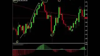 Daily Pips Machine   Forex Trading System   How to make 200