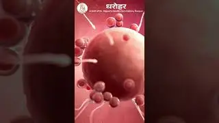 Pregnancy Kaise Hoti Hai? | Step-by-Step Pregnancy Process Explained | Dr. Preeti Nigam