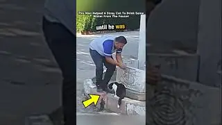 This Man Uses His Hand To Gove Water On Stray Cat #animals #shorts #viralvideo #shortsfeed