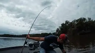 Potomac River Chunk during practice for the Phoenix BFL