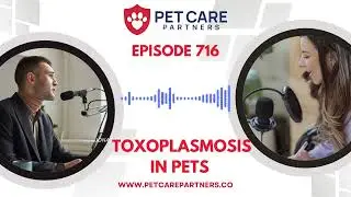 Episode 716: Tackling Toxoplasmosis &ndash; Diagnosis and Treatment in Dogs and Cats