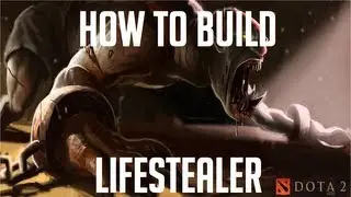 Naix The Lifestealer - Guide/Build