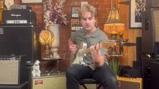 Xotic XTC-TL in Silver Metallic and Benson Monarch Reverb +
