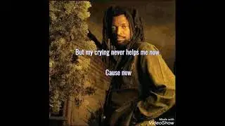 Lucky Dube - Slave lyrics video 📷