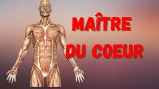 Le m&eacute;ridien du Ma&icirc;tre du Coeur / P&eacute;ricarde en m&eacute;decine chinoise #medecinechinoise
