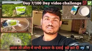 Day 7/100 Day video challenge 💯✅ आज तो जीरा में सभी प्रकार के दवाई स्प्रे कर दी 🤿🚿