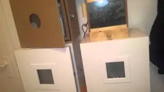 Educadores insonorizados de jilguero y mixto