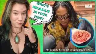 Bug Expert Reacts! You'll NEVER Eat Another Fig Again