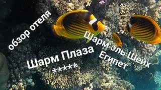 Обзор отеля 
