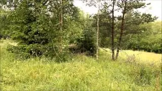 Miltec Ghillie suit test