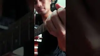 Chasing Birds Cover