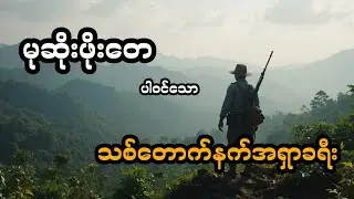 မုဆိုးဖိုးတေ နှင့် သစ်တောက်နက်အရှာခရီး (တင်ဆက်သူ ခင်)
