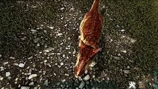 🦕🦖 ARK SURVIVAL Ragnarok - Alossauro #shorts