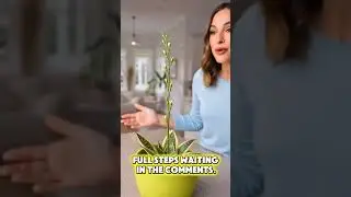 People are using this white liquid on snake plants &mdash; and it actually works 😲Learn how 👉 comments