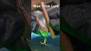 The Secret Wax Lure Trick 🤫