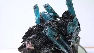 2620 cts Kyanite with Ruby Crystal Harts Range, Australia TBM-2705