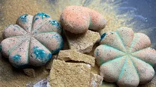 Short Sweet & To The Point | Crunch | ASMR