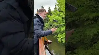 Handy f&auml;llt ins Wasser #shorts
