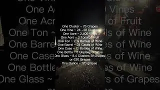 Alexander Valley Old Vine Zinfandel- The Journey of a grape!