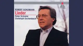 Liederkreis, Op. 24: No. 6, Warte, warte, wilder Schiffsmann