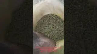 Agricultural Film Masterbatch (PE based) Granulation/Pelletizing Line