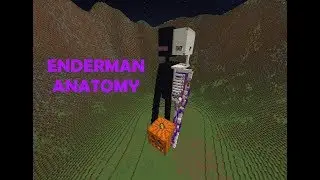 Minecraft Enderman anatomy ft. RoxMb
