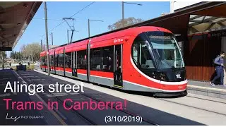 Transport Canberra - Trams at Alinga Street terminus (3/10/2019)