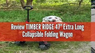Review TIMBER RIDGE 47