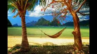 BAROQUE PARADISE Stricken whoop 10,000 HOURS WITH MY FEELINGS geeky gold country Just because
