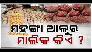 ମହଙ୍ଗା ଆଳୁର ମାଲିକ କିଏ ? | Potato Prices | Potato Selling At Rupees 6/- Per kg | Argus News