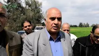 كيف تعالج مرض تفحم القمح؟
