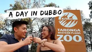 What a fun day looks like in... DUBBO || Dubbo Zoo and Beers