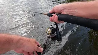 Penn Battle II 4000 Spinning Reel