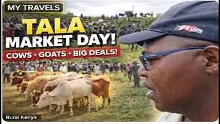 A Day at Tala Livestock Market!!!