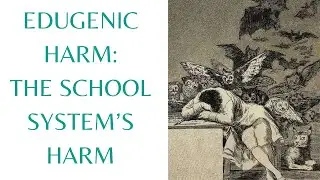 How to Heal From Edugenic Harm