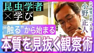 【昆虫学者 小野正人 ～後編～】「ハチの社会はリーダーを必要としない」「恩師から学んだ研究者としての生き方」昆虫と向き合い続けた先に見えてきた学びとは
