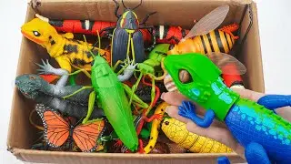 🦎toy asmr🦎 ZURU Robo Alive Lurking Lizard & Huge Box Of Robo Insects ASMR 🦋 Satisfying Unboxing Toys