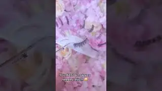 Super Useful MUA tool!