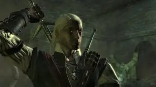 The Witcher 1: Zeugl (Full Fight)