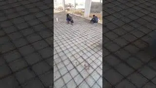 Single & Double mesh Reinforcement 💯 #trending #constraction #viral