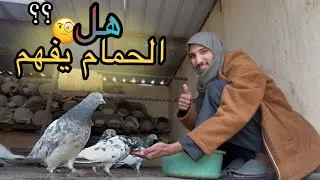فلوق | مع الحمام | هل الحمام يعرف صوت راعيه🤨 !!