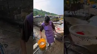 Bulk Feeding in a High-Density Dog Farming Operation 👀