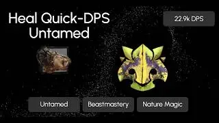 Heal DPS Untamed - 22.9k DPS