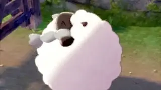 Pokemon Sword & Shield - NO WOOLOO DON'T! (Meme)